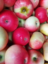 Load image into Gallery viewer, Fresh Organic Fruit Box For Delivery Week Commencing 3rd November 2025