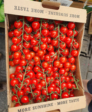 Load image into Gallery viewer, A Fresh Organic Veg Box For Delivery Week Commencing 3rd November 2025