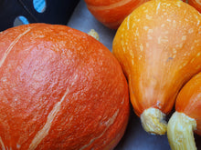 Load image into Gallery viewer, Join Our Organic Veg Box Scheme! (Price includes first veg box for delivery week commencing 3rd November 2025)