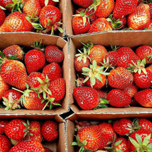 Load image into Gallery viewer, Fresh Organic Fruit Box For Delivery Week Commencing 3rd November 2025
