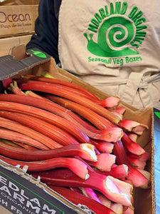 Fresh Organic Fruit Box For Delivery Week Commencing 21st October 2024