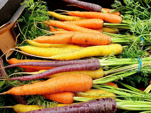 Join Our Organic Veg Box Scheme! (Price includes first veg box for delivery week commencing 21st October 2024